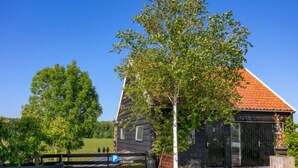 Eksteriør