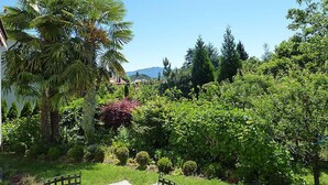 Un jardin luxuriant, avec une grande variété de plantes et d’arbres, un sentier et un banc.