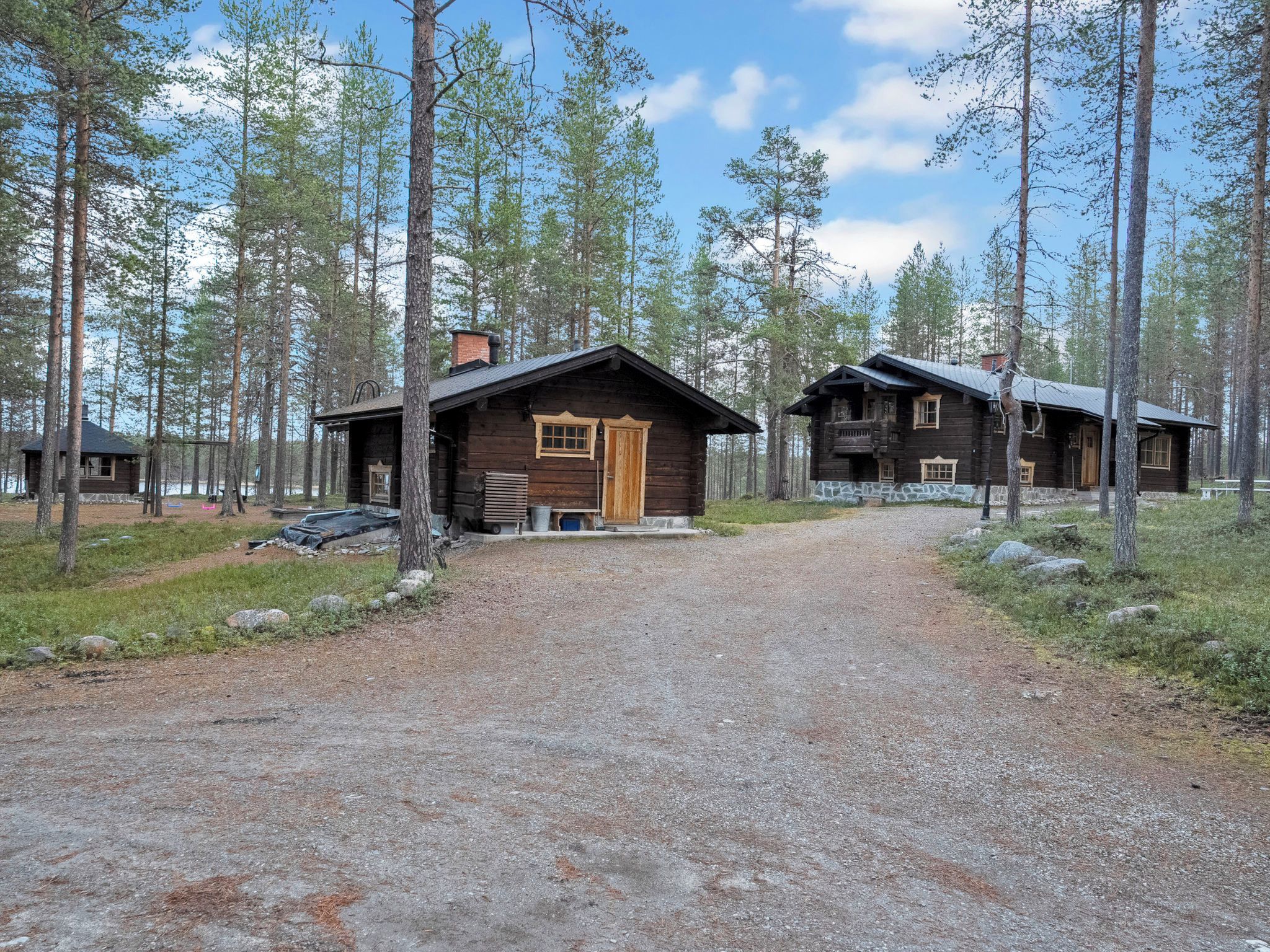 A rustic cabin with a gravel driveway leading to a wooden door, surrounded by tall pine trees.