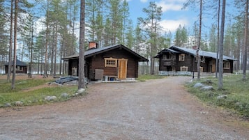 A rustic cabin with a gravel driveway leading to a wooden door, surrounded by tall pine trees.