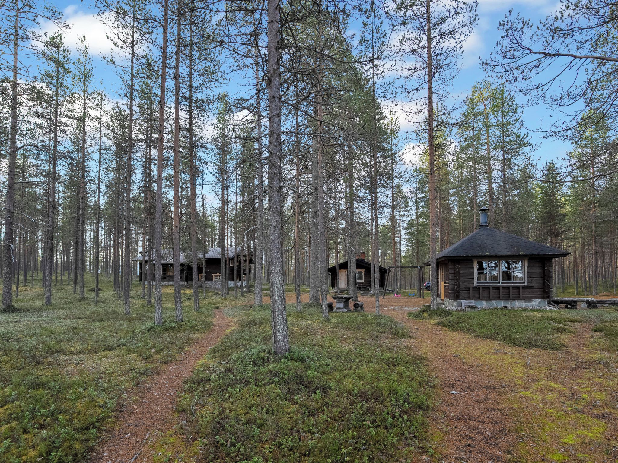 A forest with three cabins, each with a distinct architectural style, surrounded by tall trees and a clear sky.