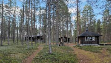 A forest with three cabins, each with a distinct architectural style, surrounded by tall trees and a clear sky.