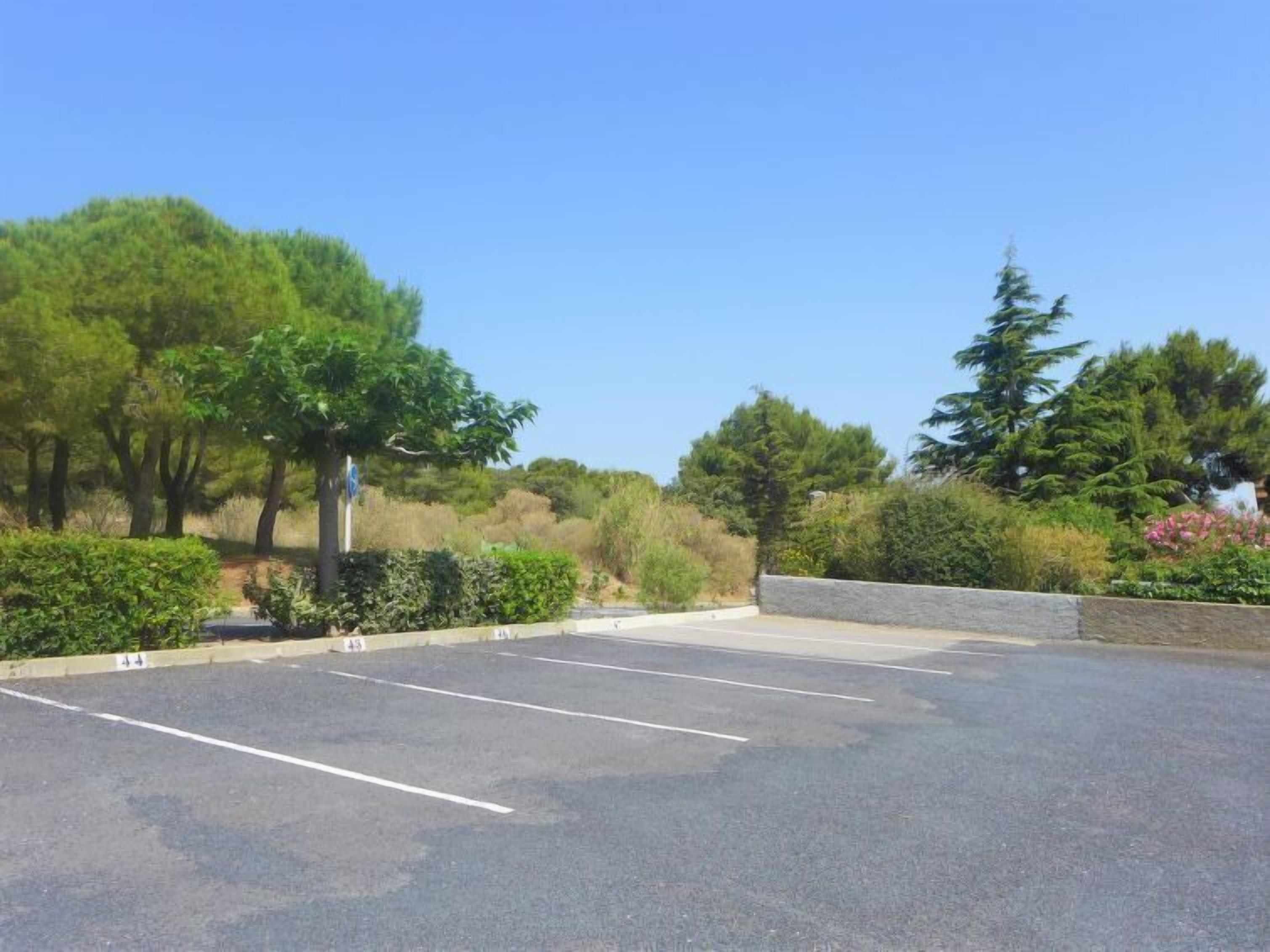 Un parcheggio con posti delimitati, immerso nel verde e alberato.