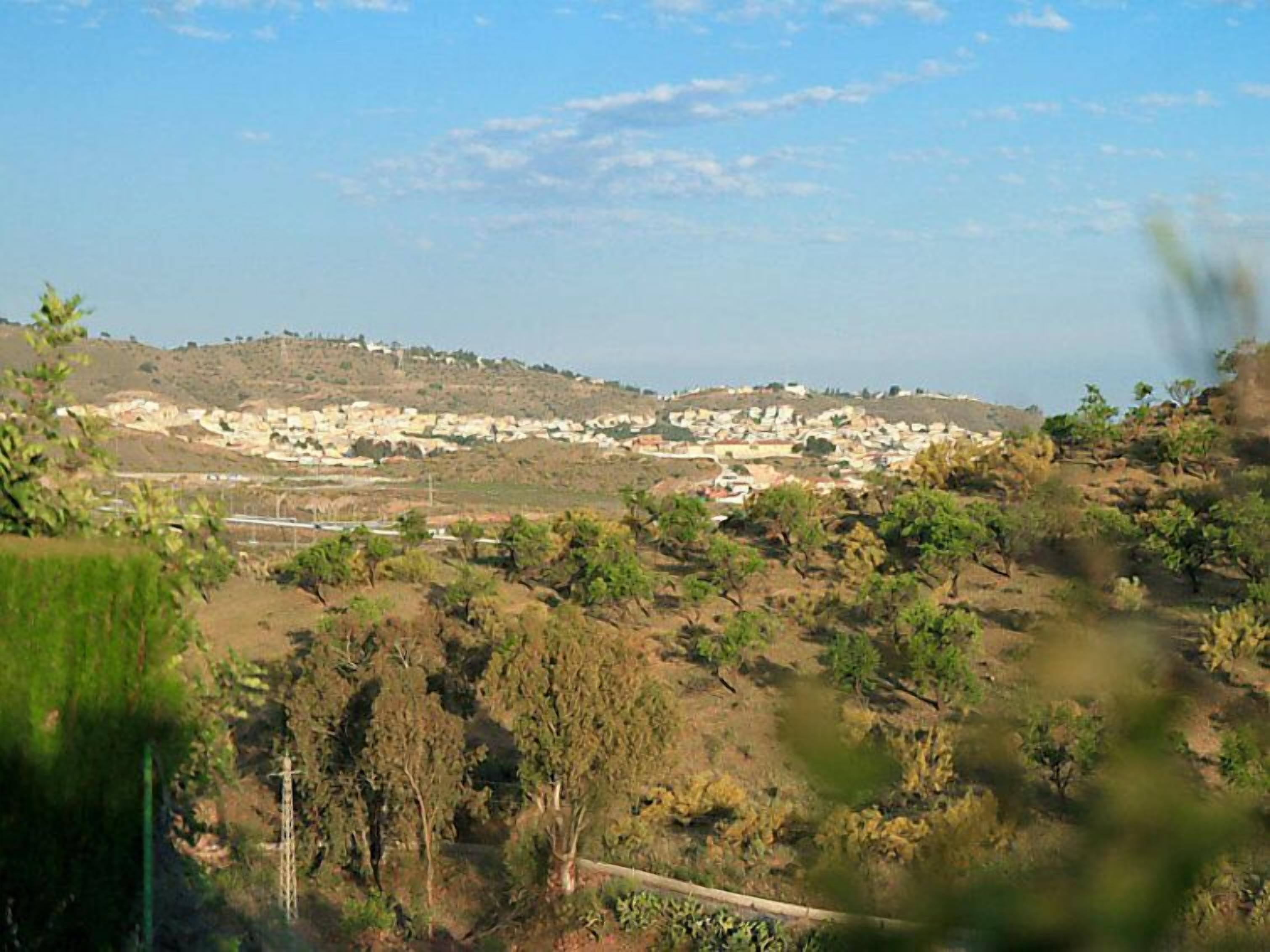 جولف