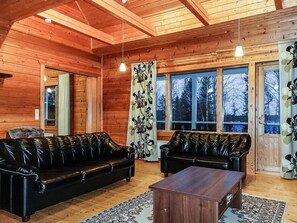 Televisio, DVD-soitin