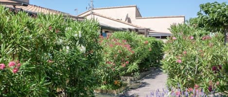 A pathway lined with various plants and flowers, leading to a building with a tiled roof.