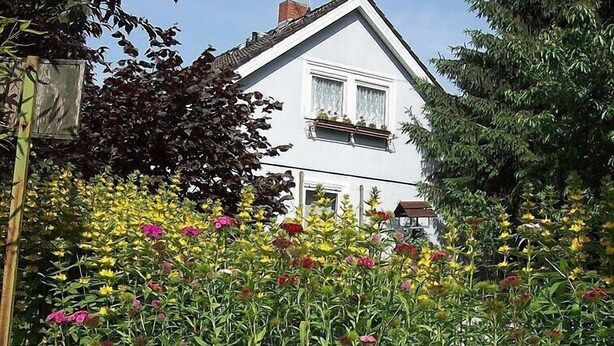 Une maison blanche avec un toit à pignon, entourée d’un jardin où poussent différentes espèces de plantes à fleurs.
