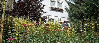 Allmendgasse by Interhome