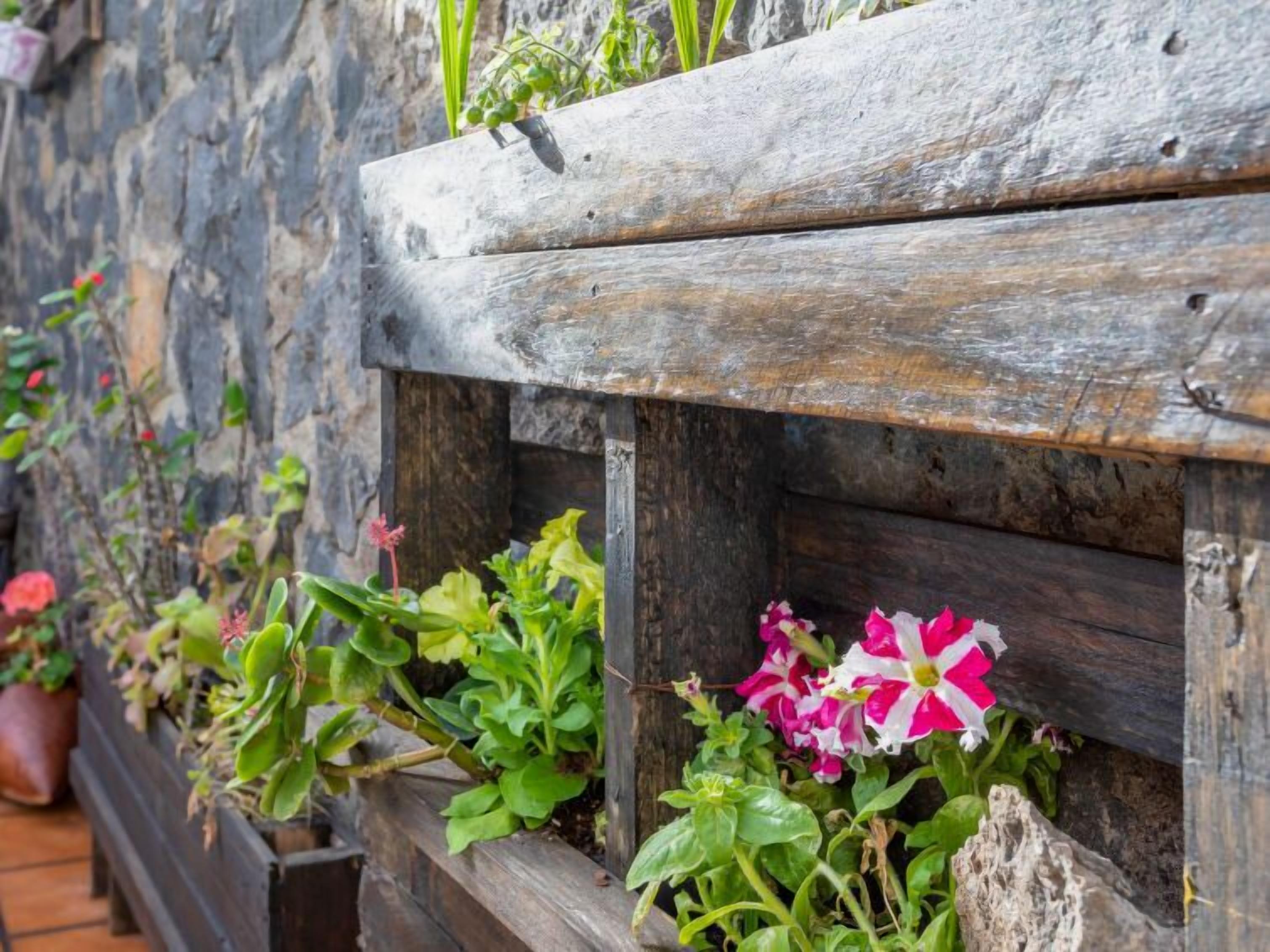 Een houten plantenbak met verschillende planten en bloemen.