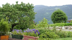 Un jardín con diversas plantas y flores, un banco de madera y una vista de montañas al fondo.