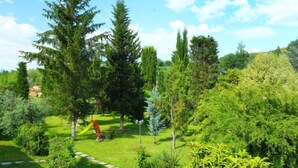 Un jardín exuberante con diversos árboles y arbustos, un camino de piedra y una pequeña estructura roja.