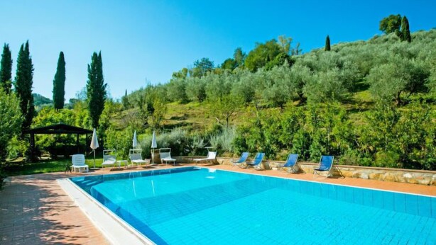 Una piscina rectangular con borde de azulejos, rodeada por un solárium de ladrillo. Hay sillas de descanso y sombrillas a lo largo de la piscina.