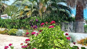 A garden with a variety of plants and flowers, including pink and purple blooms, and palm trees in the background. - Rocinante by Interhome (Jávea)