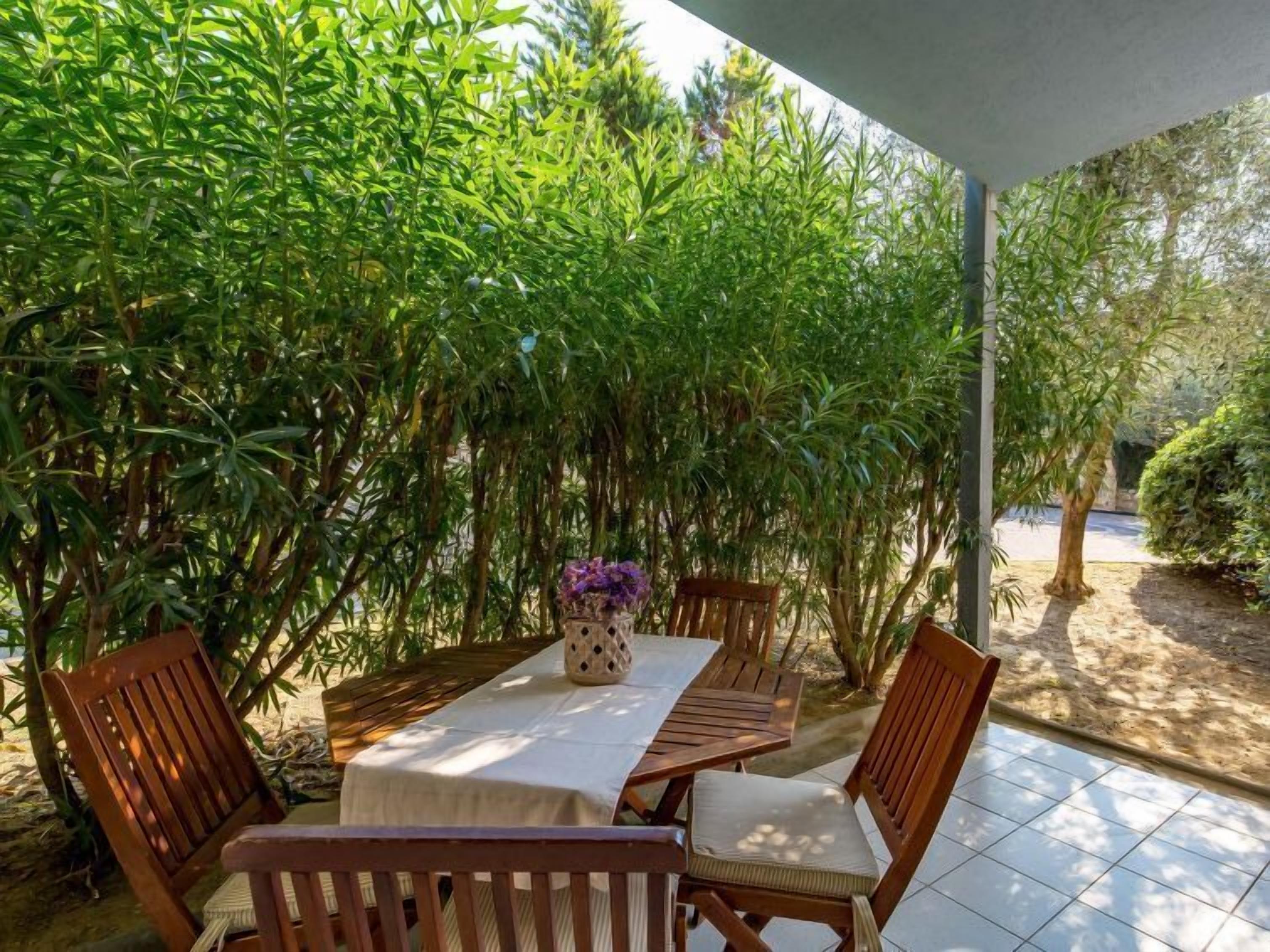 An outdoor patio with a table and chairs, surrounded by dense foliage.