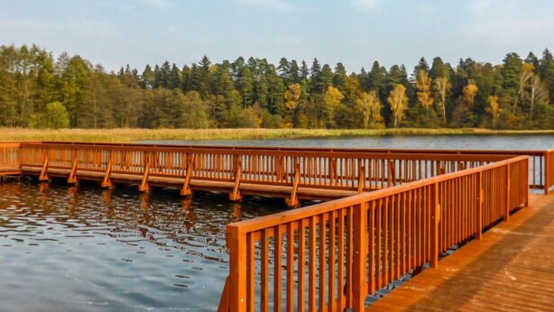 Un muelle de madera que se extiende sobre aguas tranquilas, rodeado de un bosque frondoso.