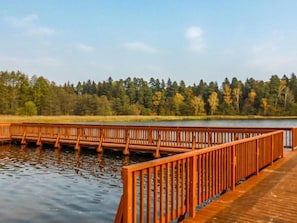Un muelle de madera que se extiende sobre aguas tranquilas, rodeado de un bosque frondoso.