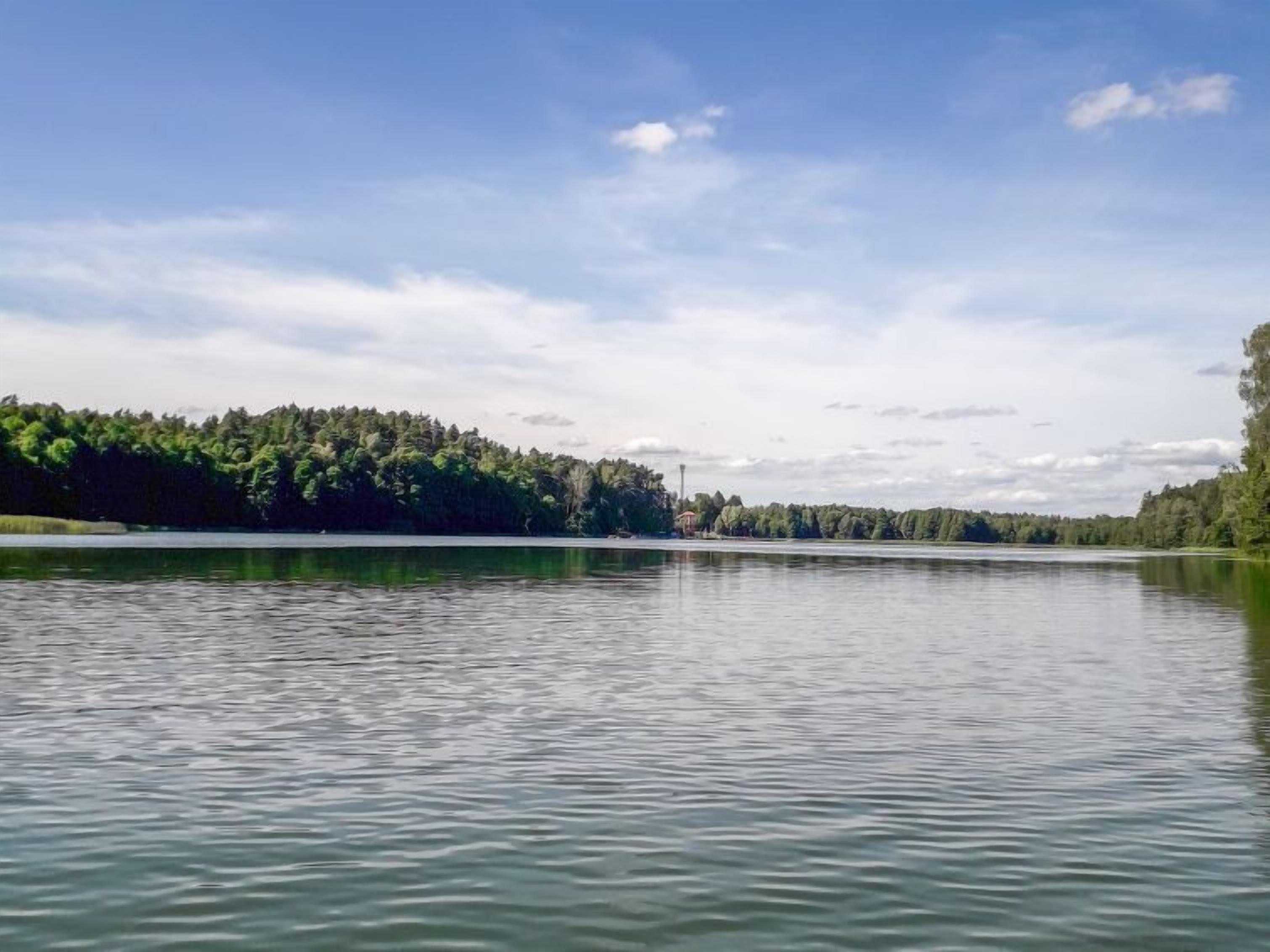 A calm lake with a forested shoreline and a clear sky.