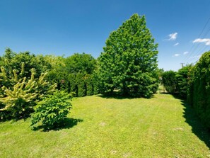 Stroll through a serene garden surrounded by lush trees and shrubs.