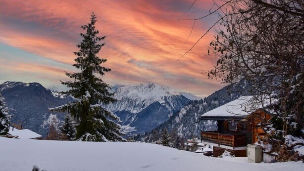 A snow-covered mountain landscape with a wooden cabin and a large evergreen tree.