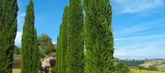 Podere Agnese by Interhome