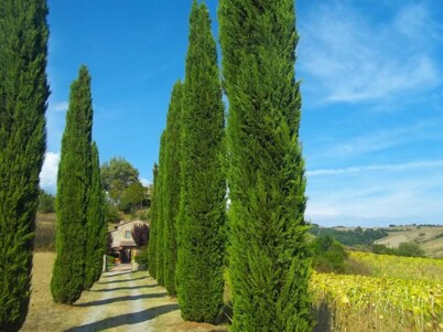 Podere Agnese by Interhome
