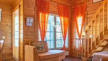 电视、DVD 播放器