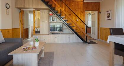 Hibiscus by Interhome