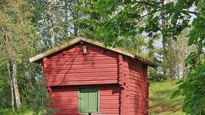 Une petite cabane en bois rouge, avec une porte verte, entourée d’arbres et d’herbe.