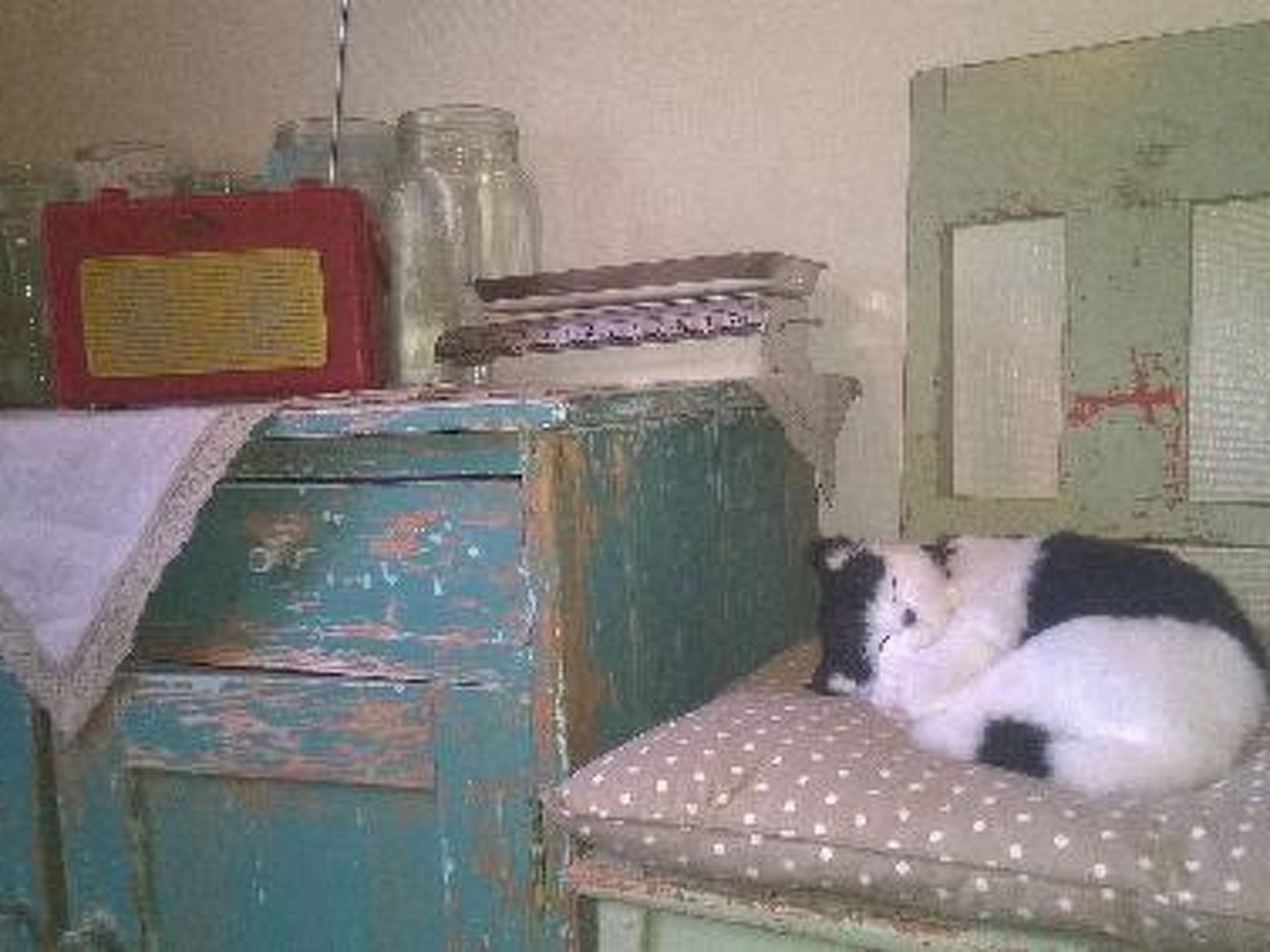 A room with a worn teal cabinet, a polka-dotted bench, and a small table with a red object on top.