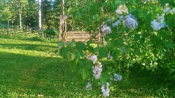 Un belvédère en bois, situé dans un jardin luxuriant et verdoyant, agrémenté de fleurs blanches.
