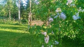 Ărea da propriedade