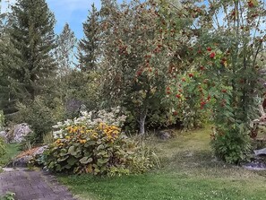 Área da propriedade