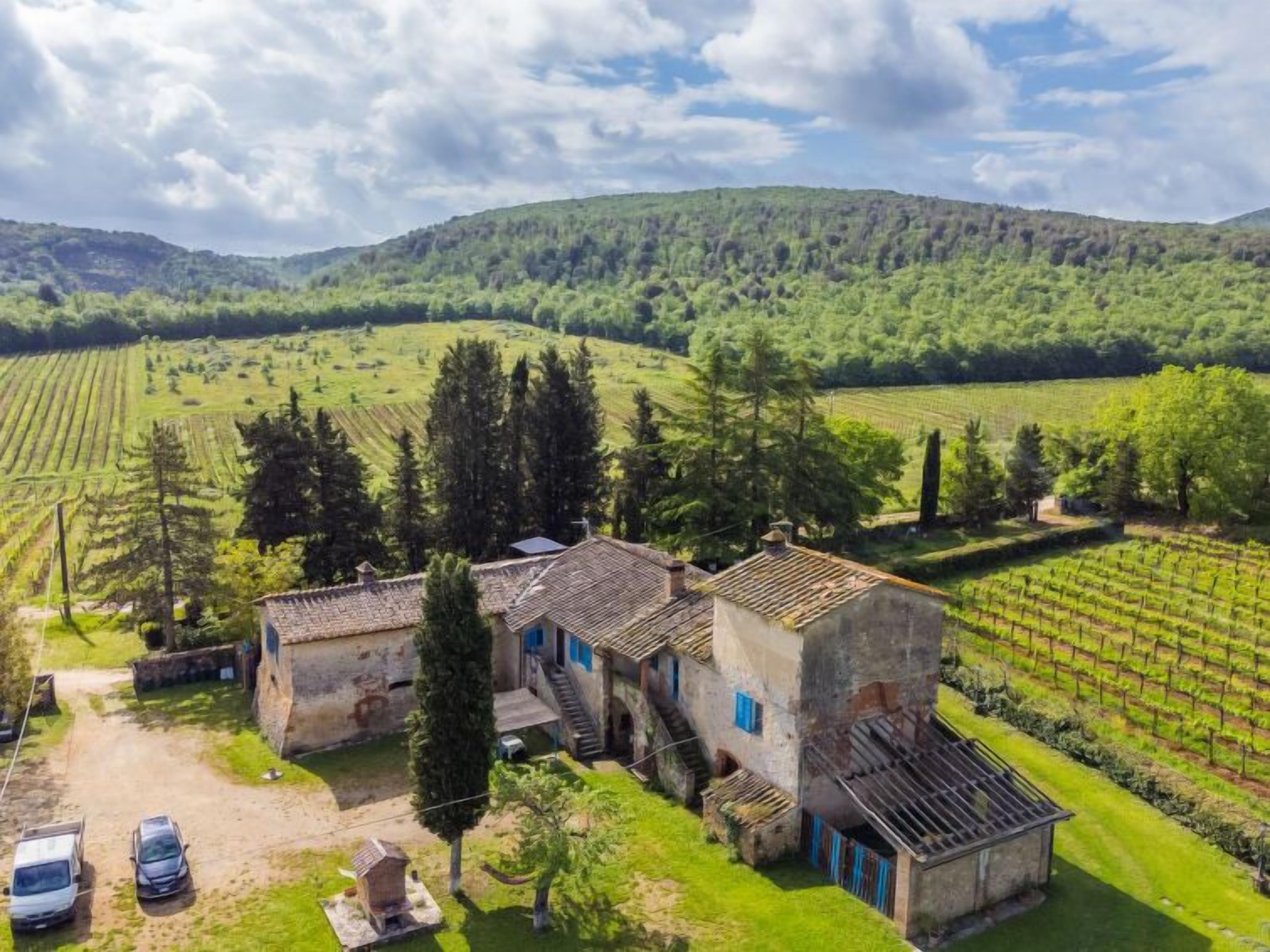 Fattoria Petraglia - Cedro by Interhome