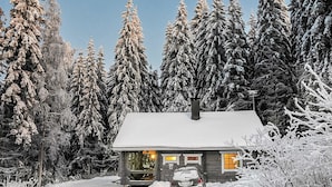 A cabin with a snow-covered roof, surrounded by tall, snow-laden trees, under a clear night sky. - Mustikka by Interhome (Hämeenlinna)