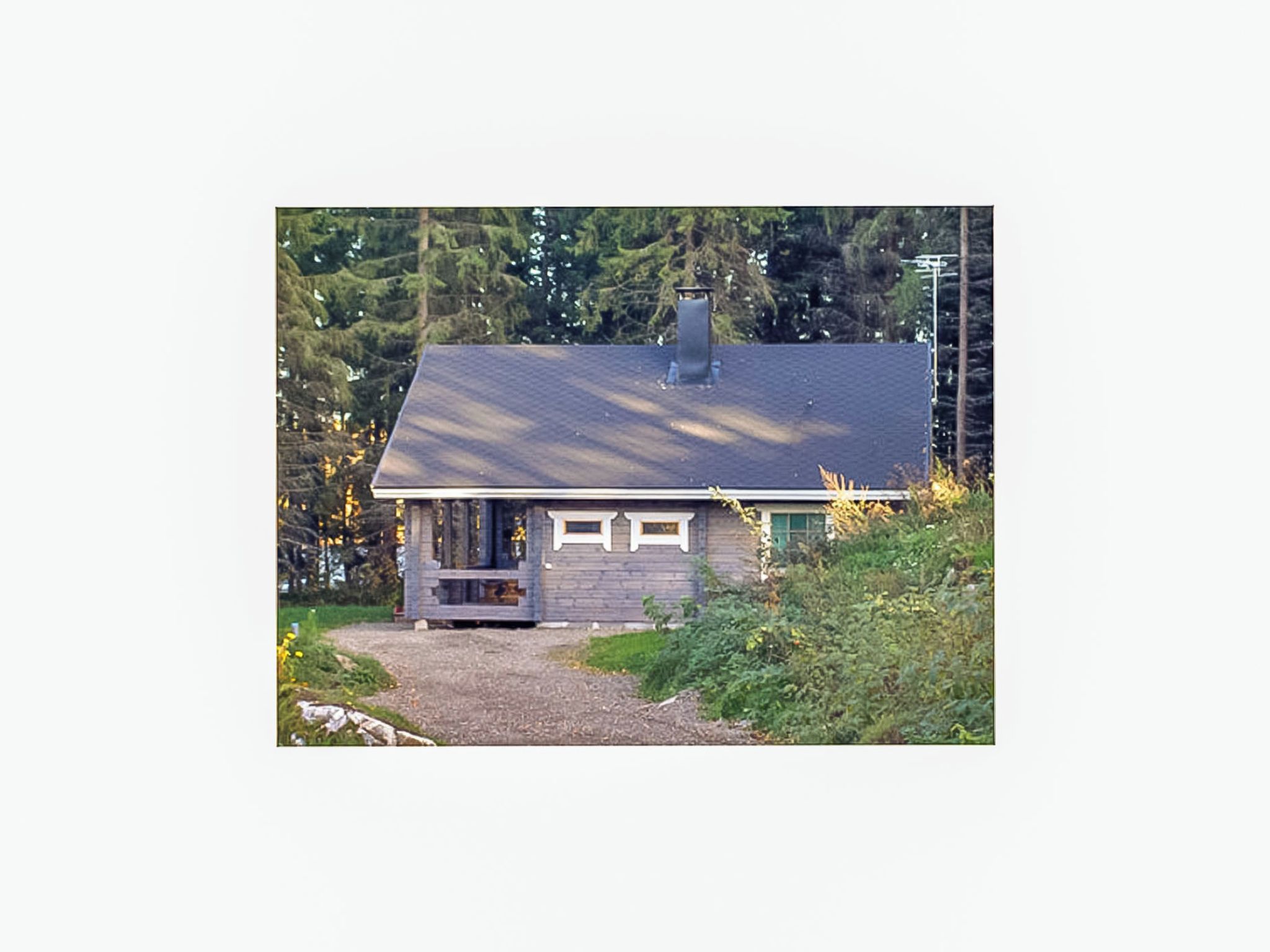 Eksteriør