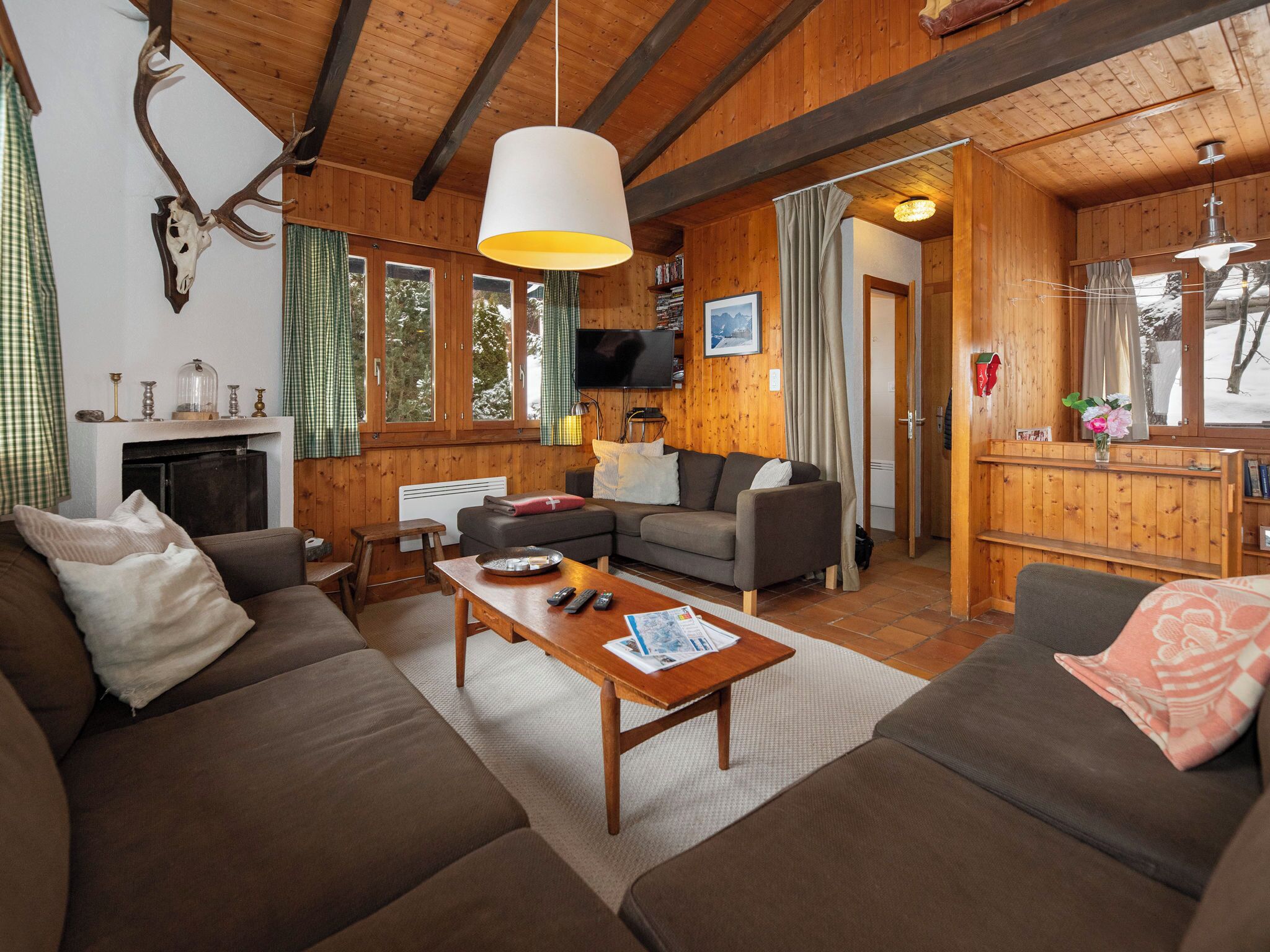 TV, fireplace, DVD player