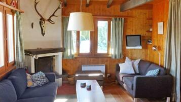 Fernseher, Kamin, DVD-Player