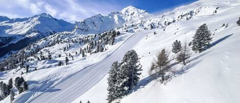 Wintersport/Ski