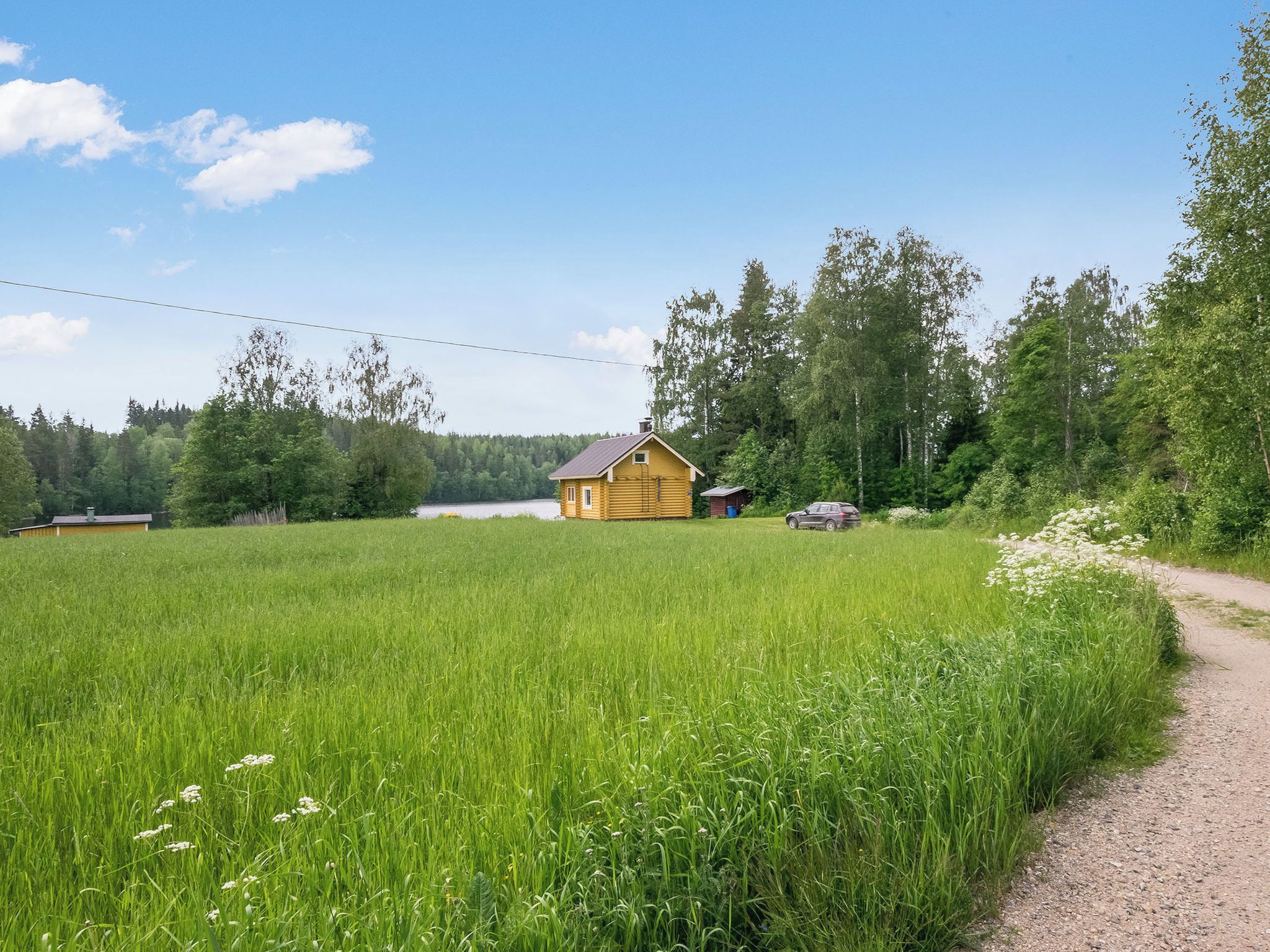 A rural landscape with a yellow cabin, a gravel path, and a field of tall grass.