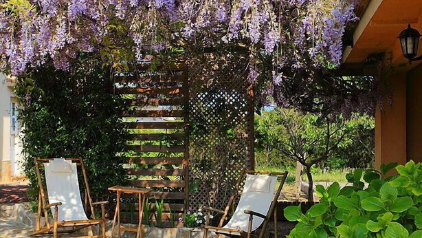 A covered patio area with two wooden chairs and a small table, surrounded by lush greenery and purple flowering vines. - Vacation home Marina by Interhome (Vidreres)