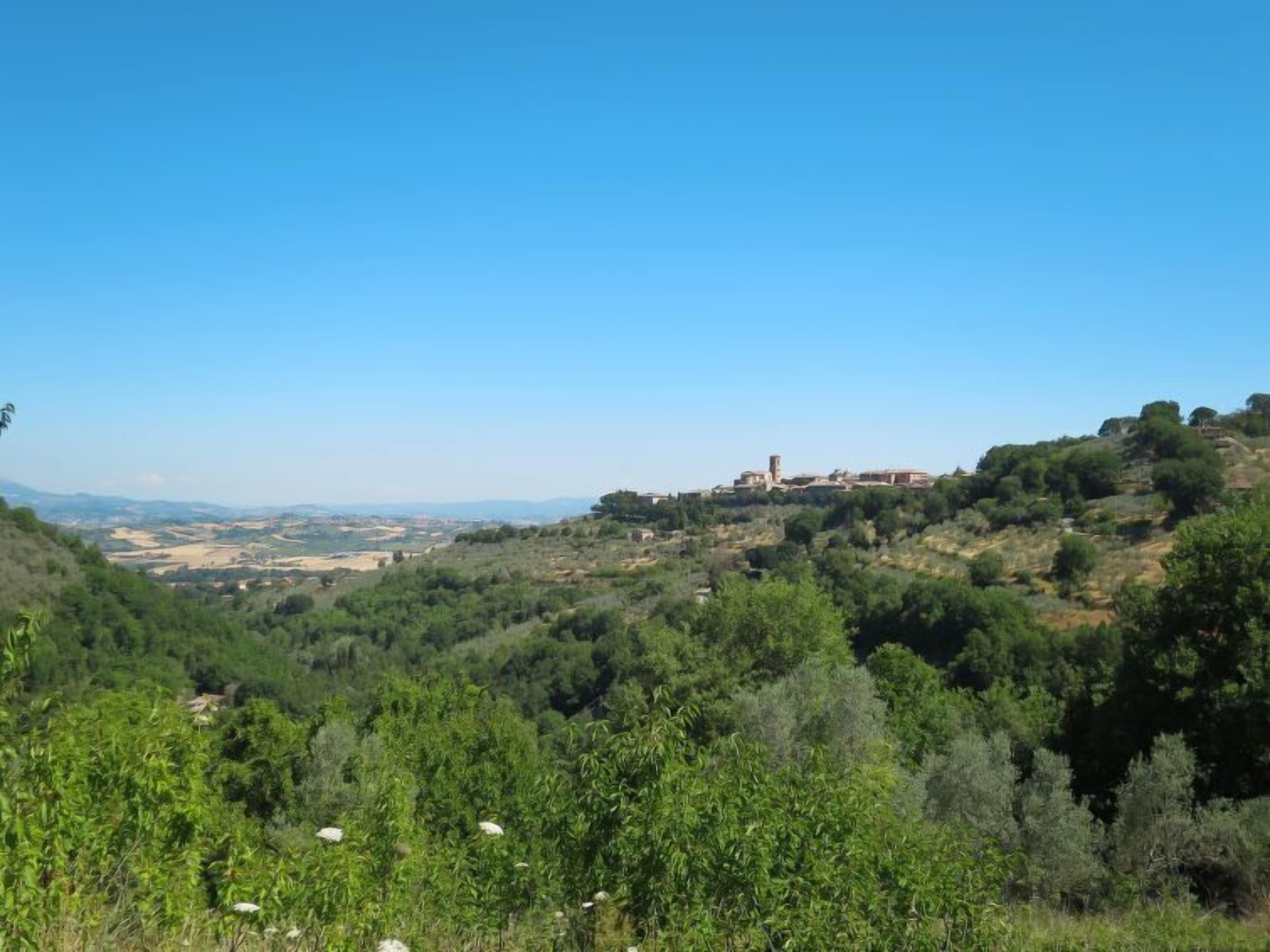 A hilly landscape with a small town on a hilltop, surrounded by greenery.