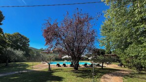 Un pati amb una piscina, gandules i un arbre.