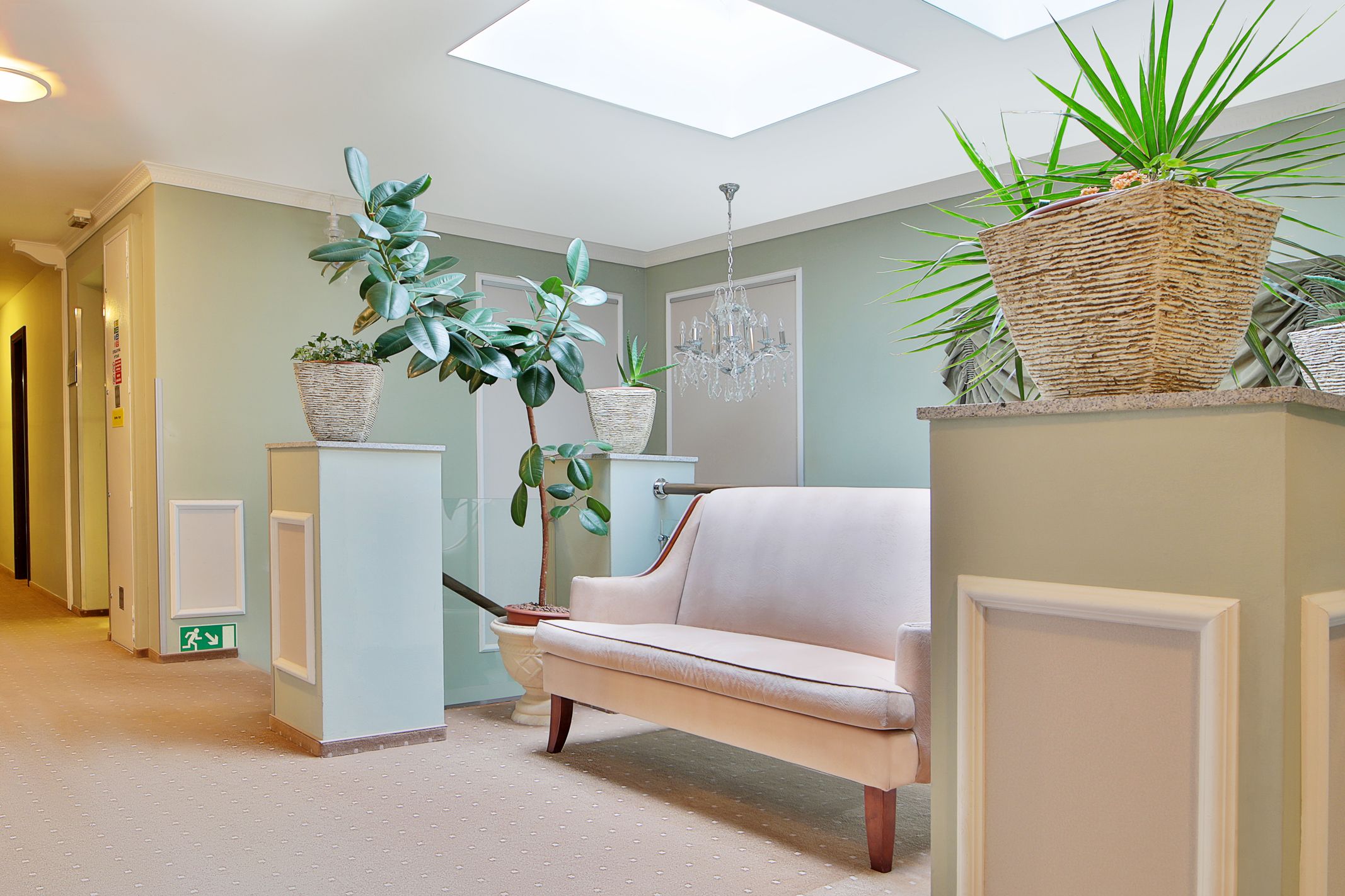 A hallway with a light-colored sofa, a chandelier, and potted plants.