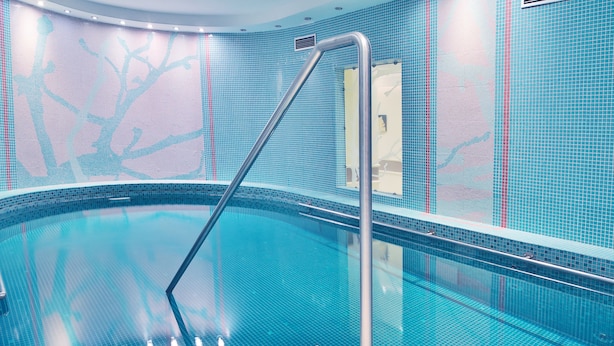 A swimming pool with a tiled interior, a metal ladder, and a wall with a tree design. - Sun Palace Wellness Hotel Marianske Lazne (Marianske Lazne)