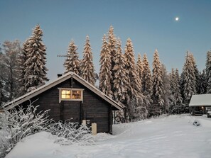 A wooden cabin with a sloped roof, surrounded by snow-covered trees and a clear sky. - Puolukka by Interhome (Hämeenlinna)