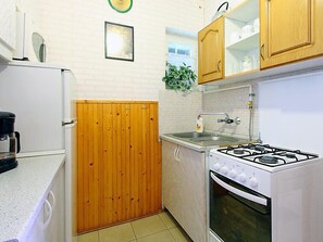 A compact kitchen with a stove, sink, and wooden panel wall.