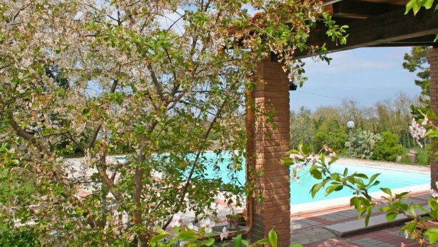 Ein Poolbereich mit einer Ziegelsteinsäule, umgeben von blühenden Bäumen und blauem Himmel.
