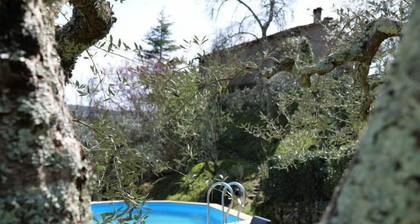 Il Casale by Interhome