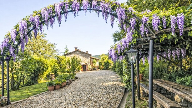 Un chemin de gravier mène à une maison en pierre surmontée d’une arche couverte de glycines.