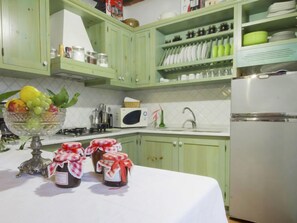 Fridge, microwave, oven, cookware/dishes/utensils